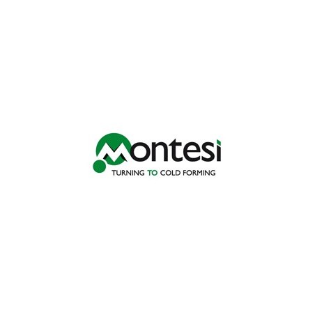 https://www.montesi.it/it