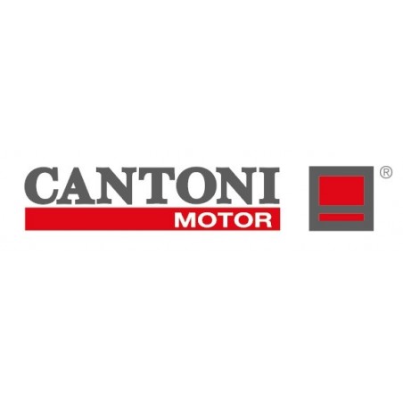 http://cantonigroup.com