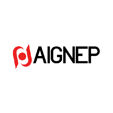 https://www.aignep.com